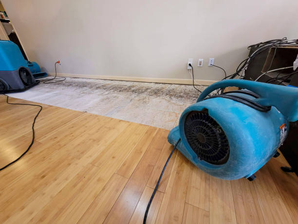 Professional Water Damage Repair technician working in Beech Island, SC